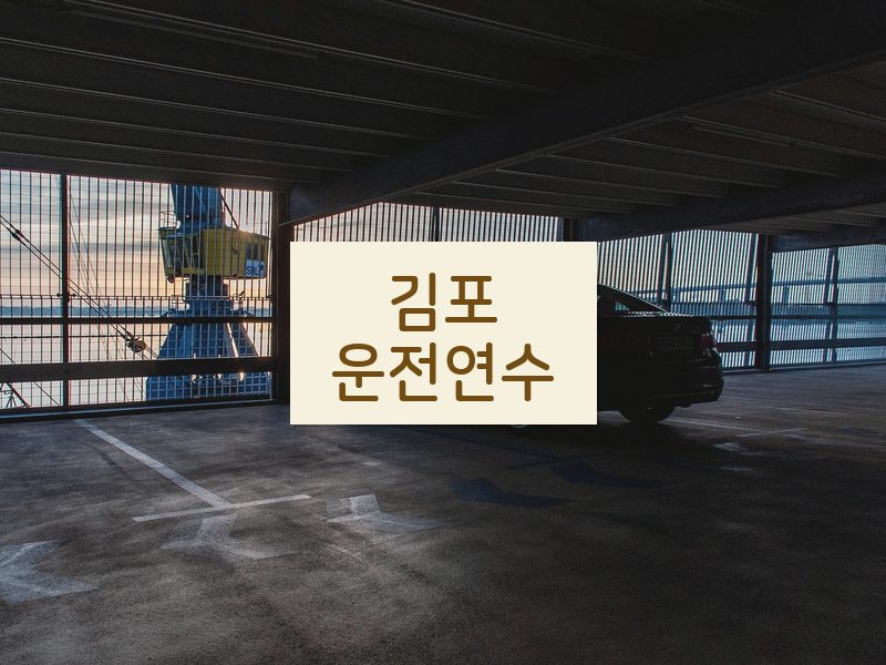 김포운전연수 후기