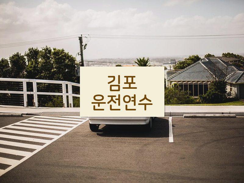 김포운전연수 후기