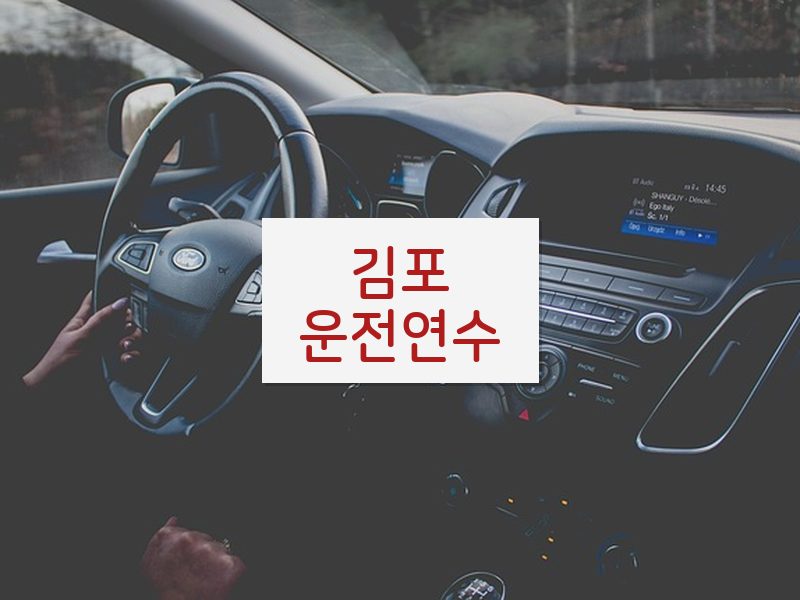 김포운전연수 후기