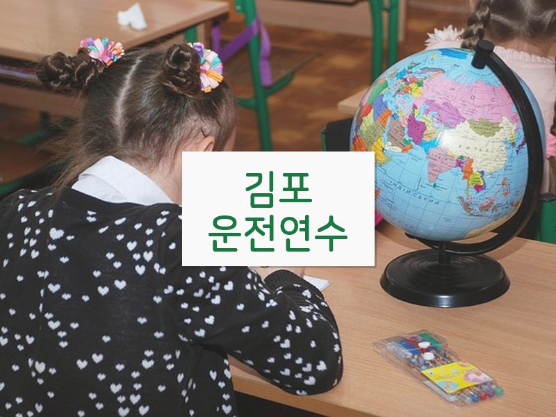 김포운전연수 후기