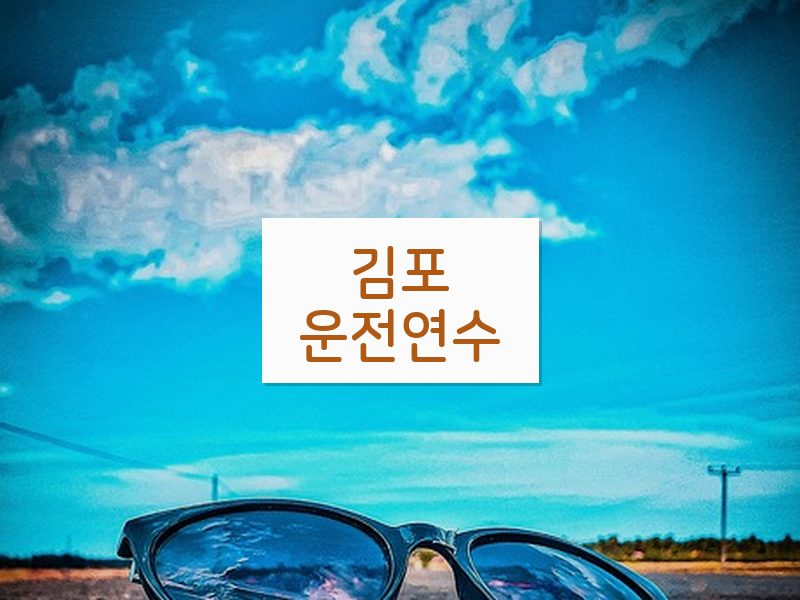 김포운전연수 후기