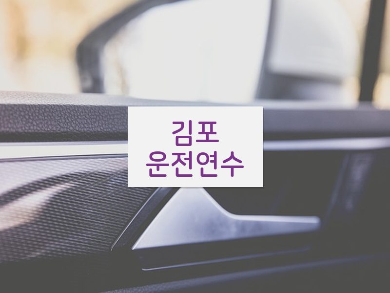 김포운전연수 후기