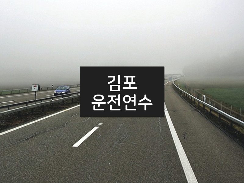 김포운전연수 후기