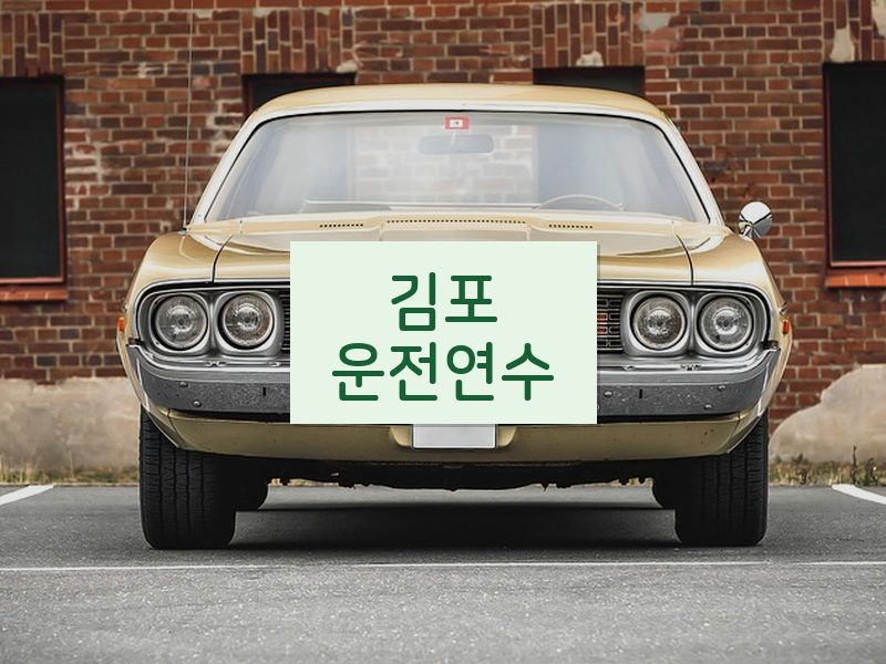 김포운전연수 후기