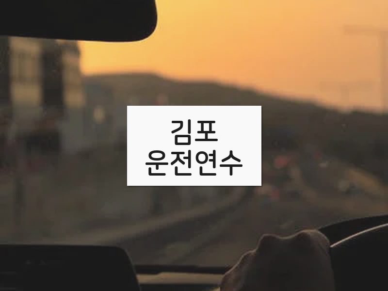 김포운전연수 후기