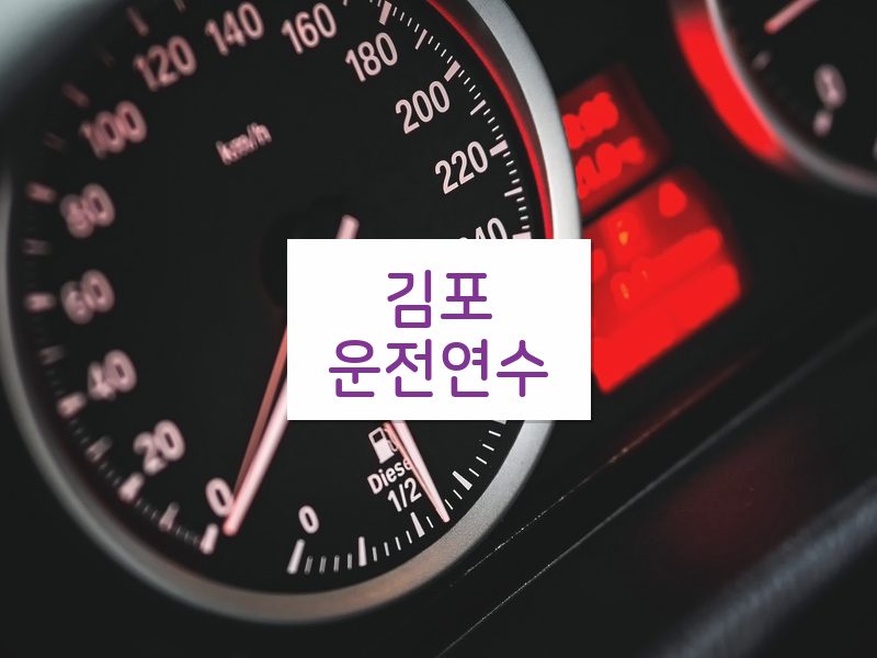 김포운전연수 후기