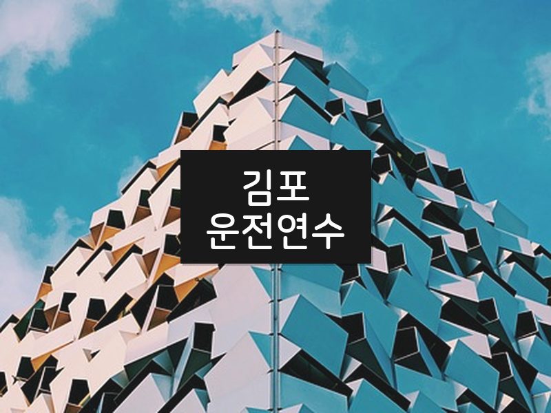 김포운전연수 후기