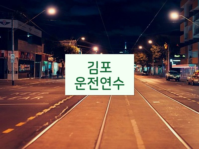 김포운전연수 후기