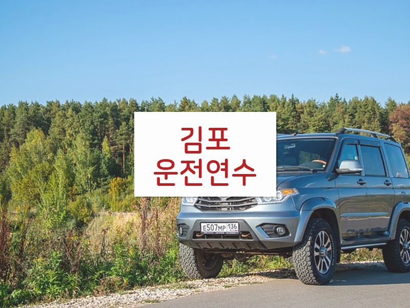 김포운전연수 후기