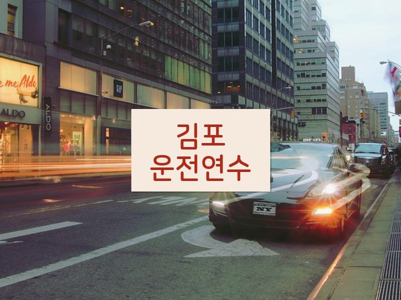 김포운전연수 후기