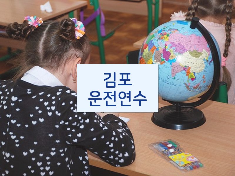 김포운전연수 후기