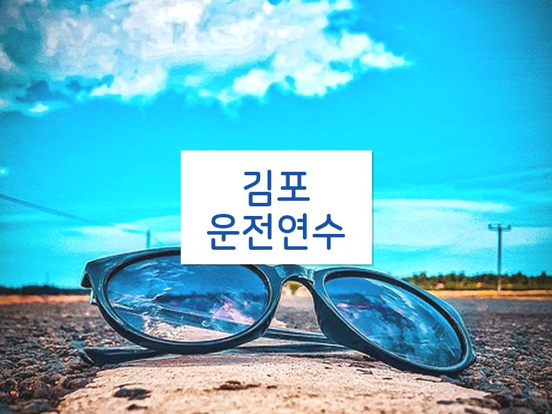 김포운전연수 후기