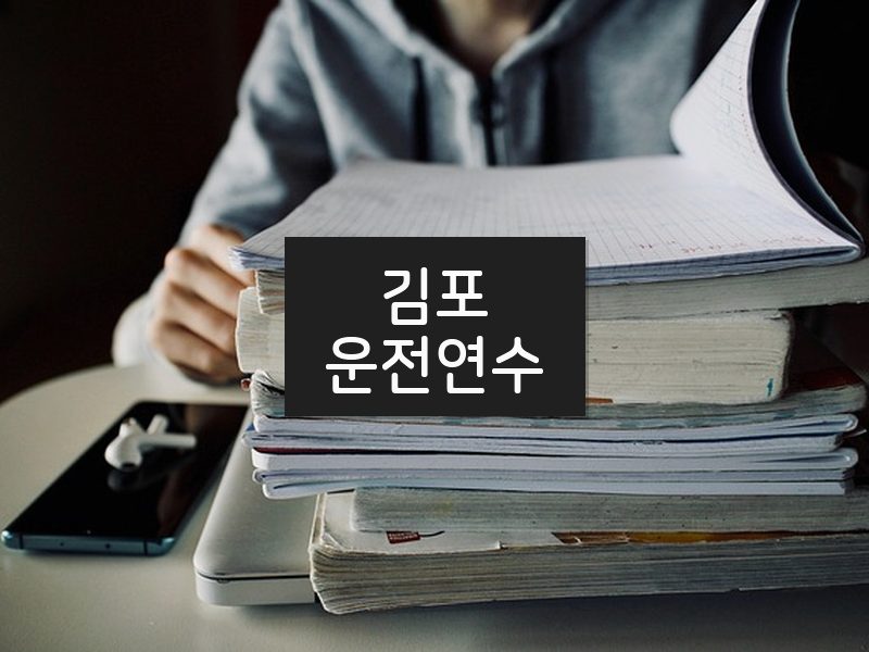 김포운전연수 후기