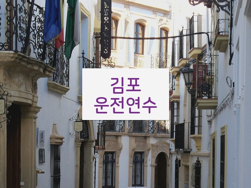 김포운전연수 후기