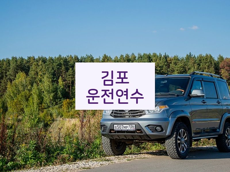 김포운전연수 후기