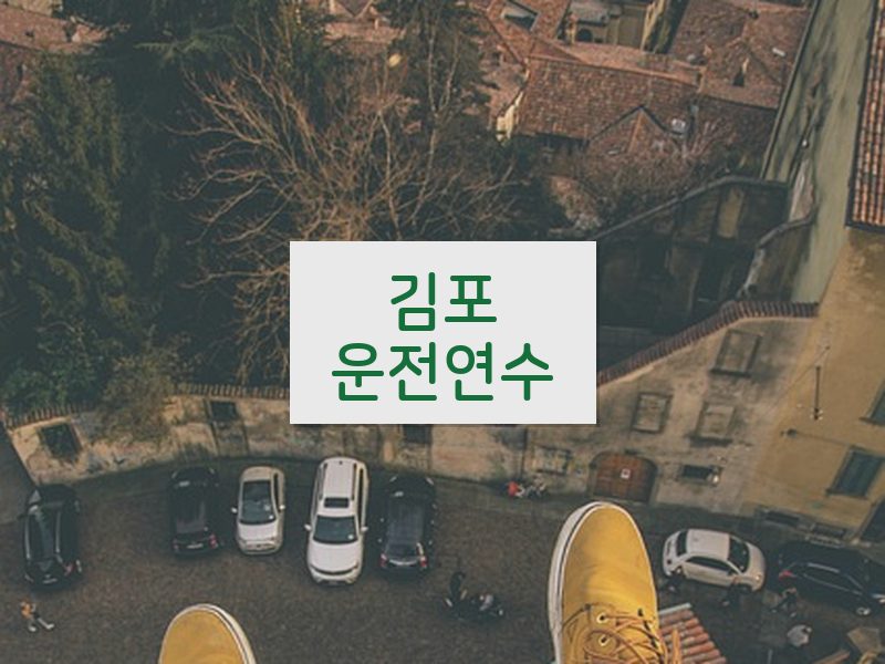 김포운전연수 후기