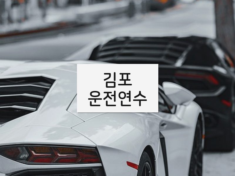 김포운전연수 후기