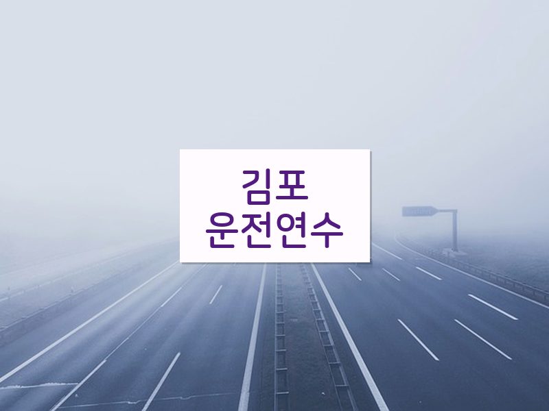 김포운전연수 후기