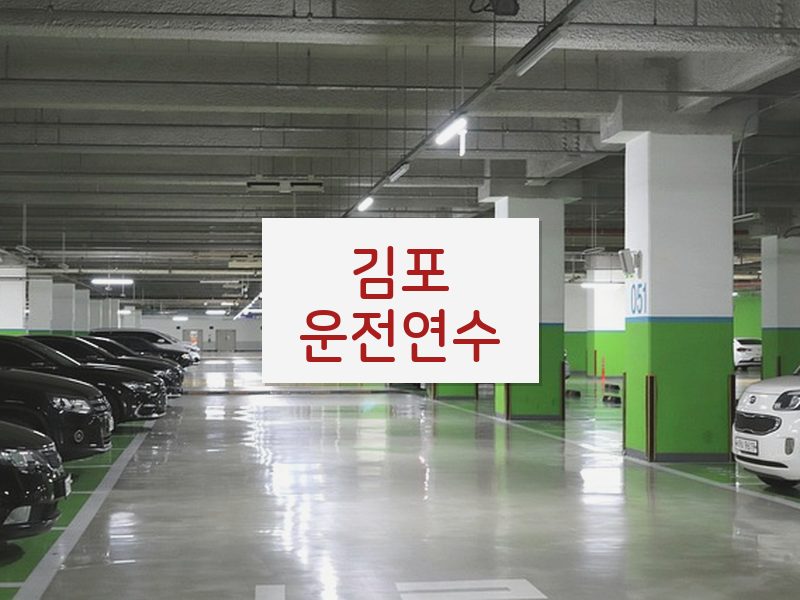 김포운전연수 후기