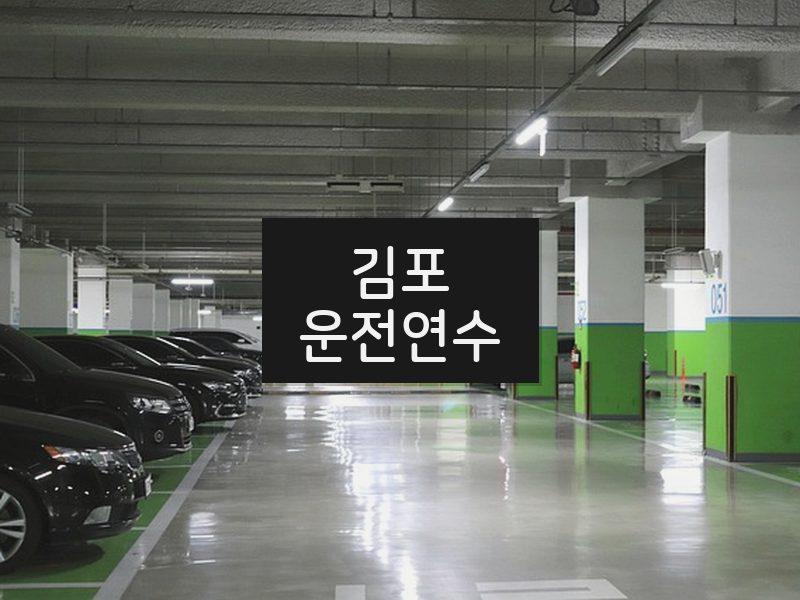 김포운전연수 후기