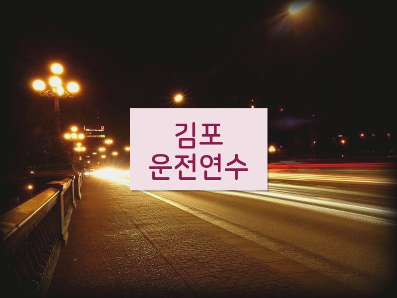 김포운전연수 후기