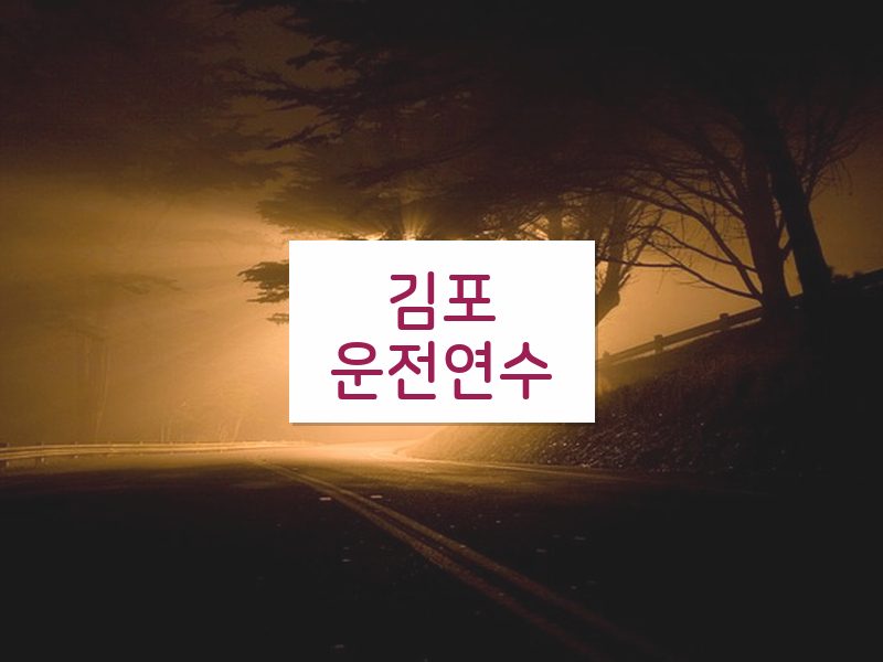 김포운전연수 후기