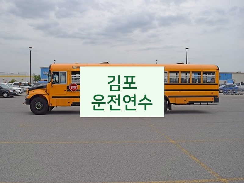 김포운전연수 후기