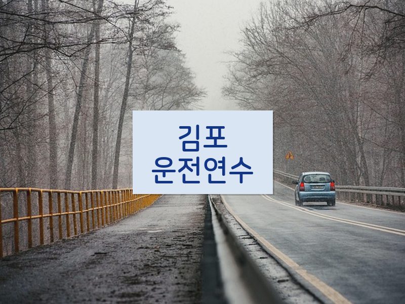 김포운전연수 후기