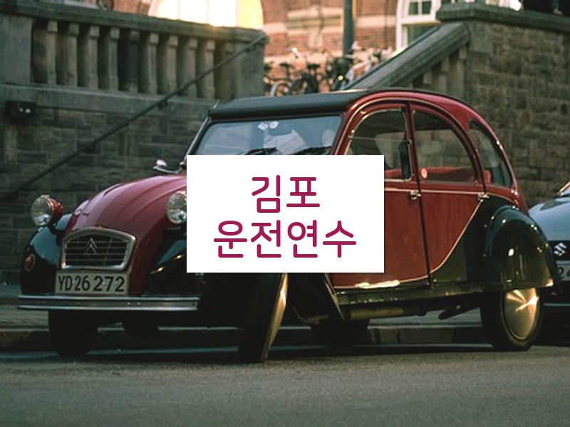 김포운전연수 후기