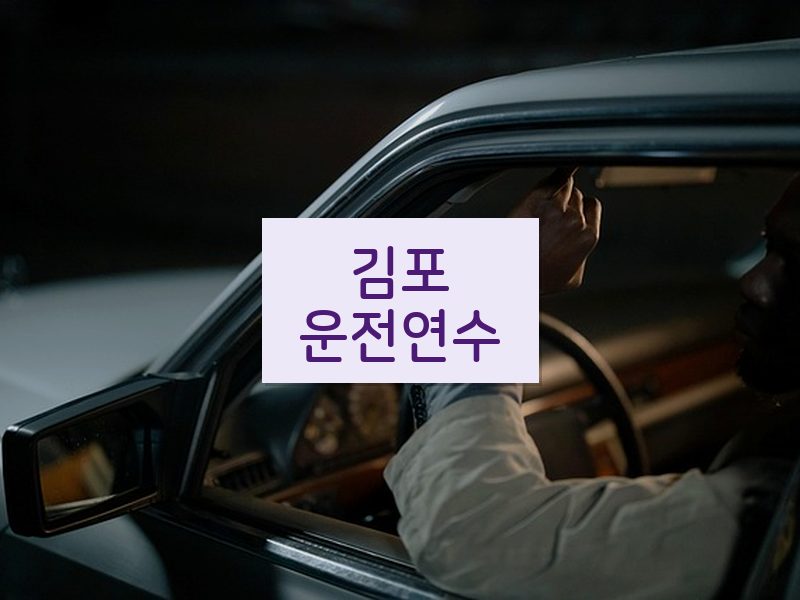 김포운전연수 후기