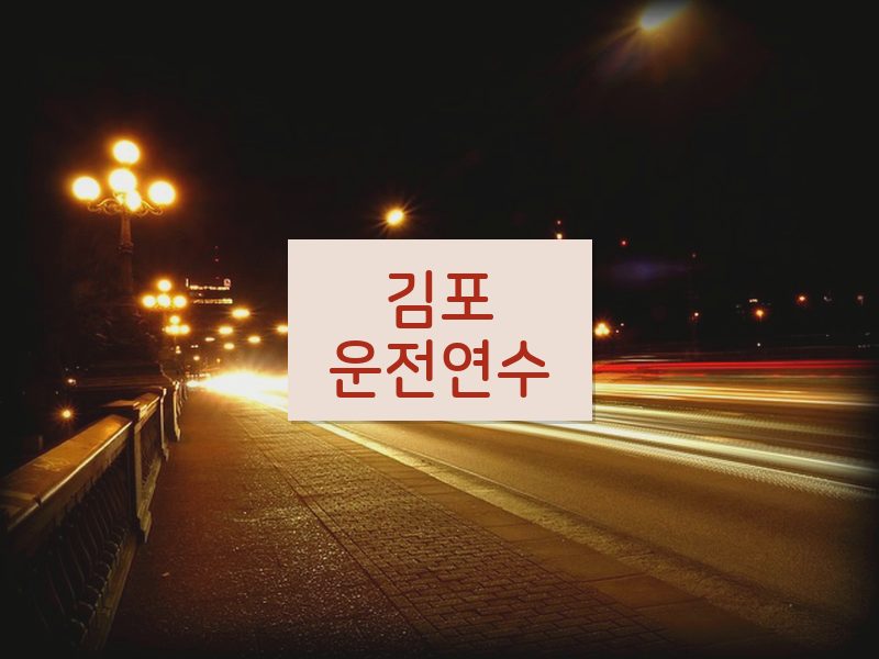 김포운전연수 후기