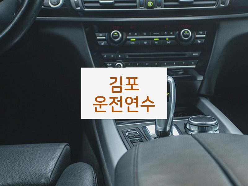김포운전연수 후기