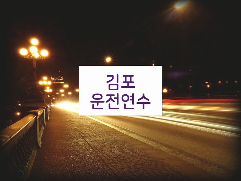 김포운전연수 후기