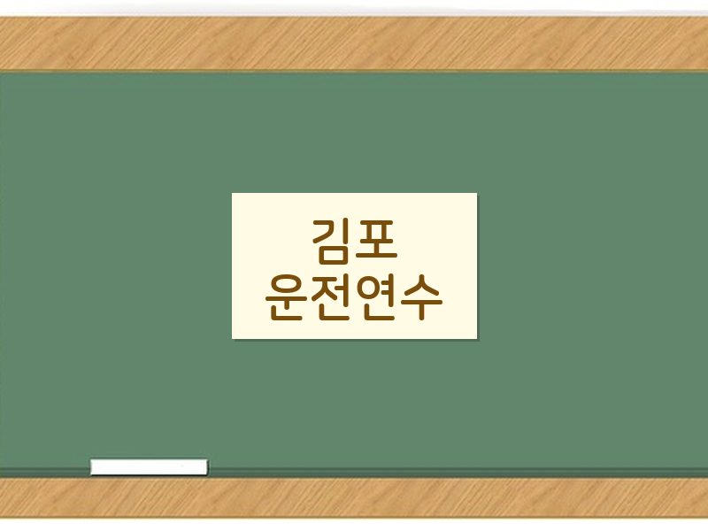 김포운전연수 후기