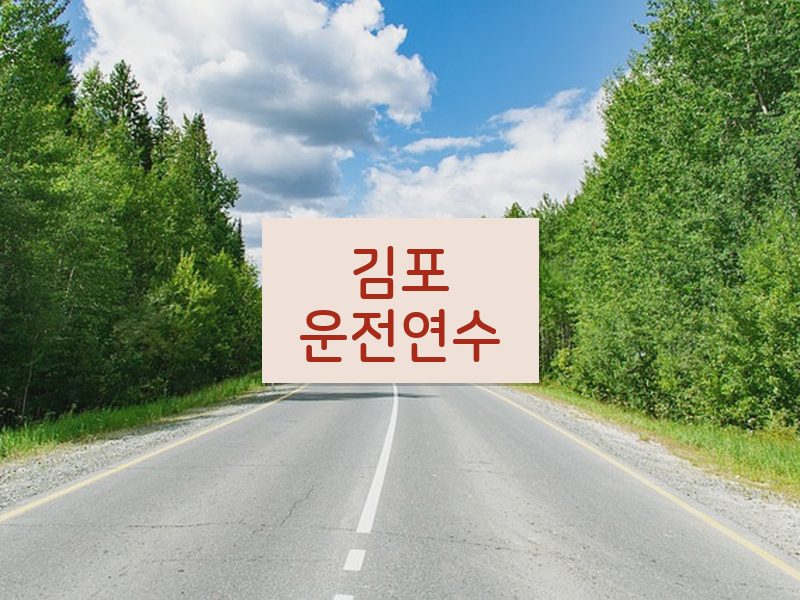 김포운전연수 후기