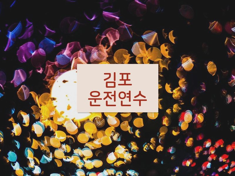 김포운전연수 후기