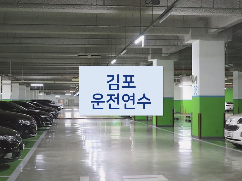 김포운전연수 후기