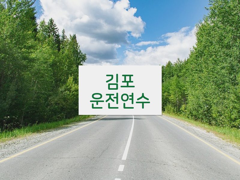 김포운전연수 후기