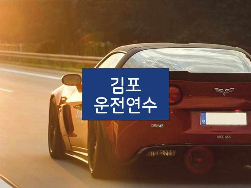 김포운전연수 후기