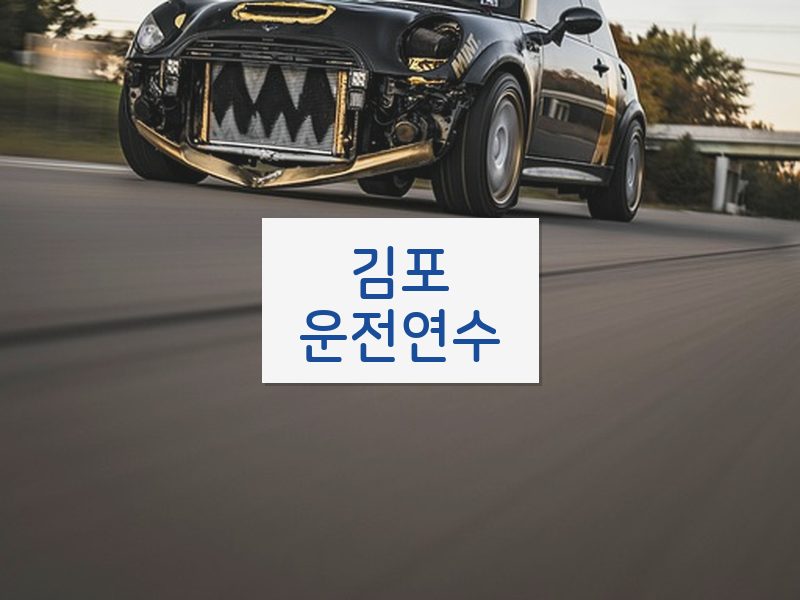 김포운전연수 후기