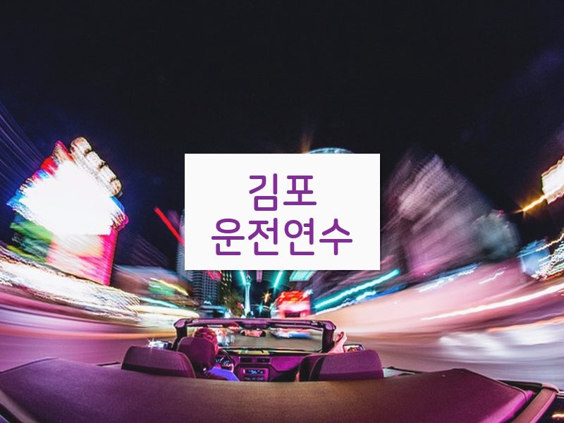 김포운전연수 후기