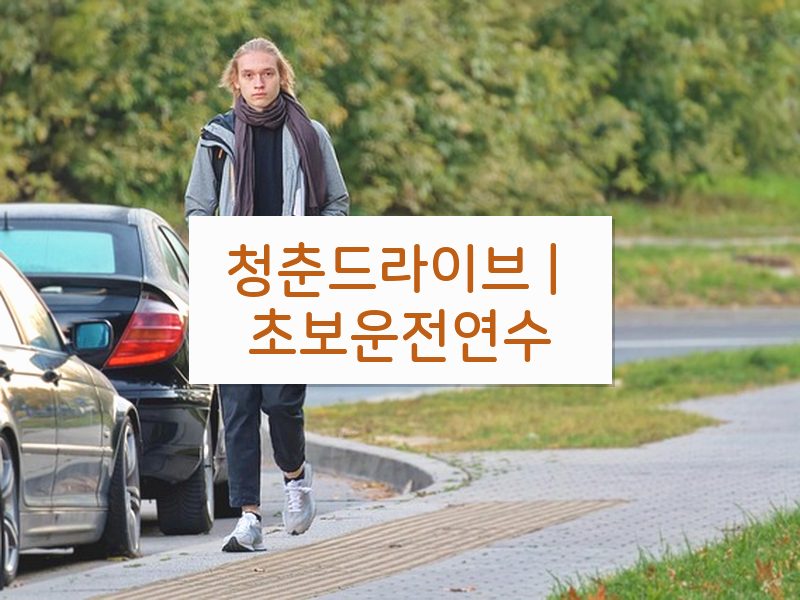 청춘드라이브 | 초보운전연수 후기