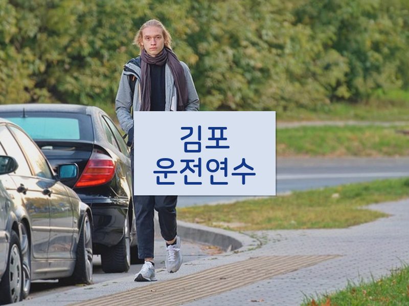 김포운전연수 후기