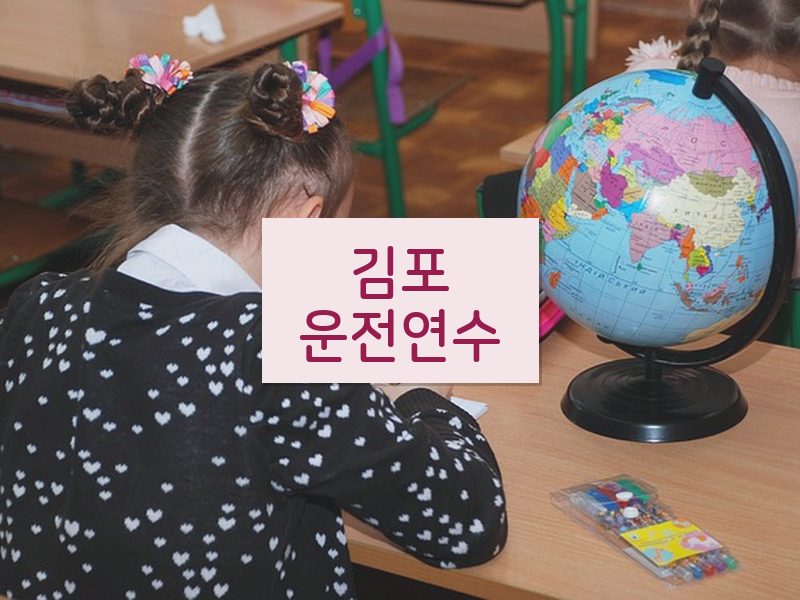 김포운전연수 후기