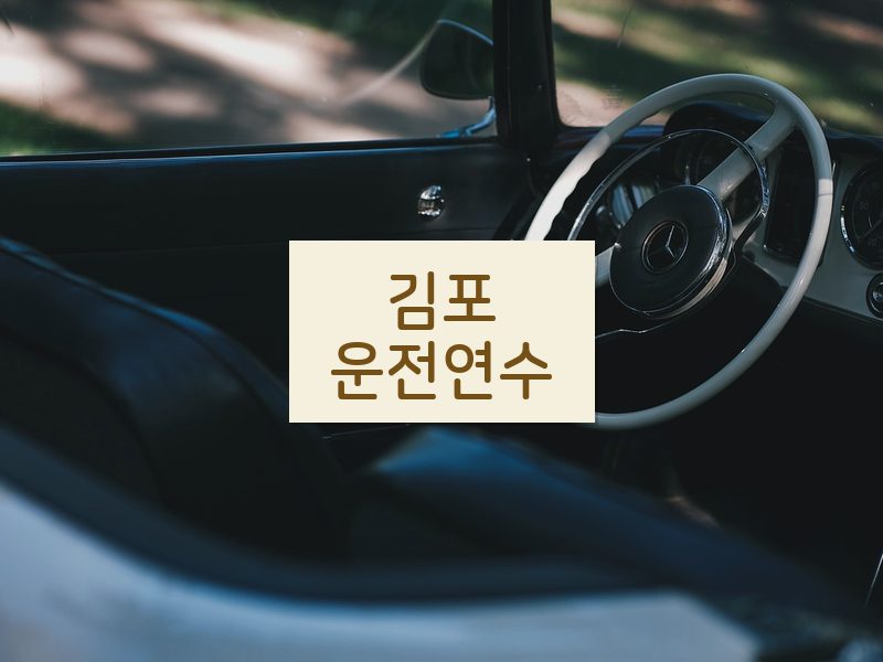 김포운전연수 후기