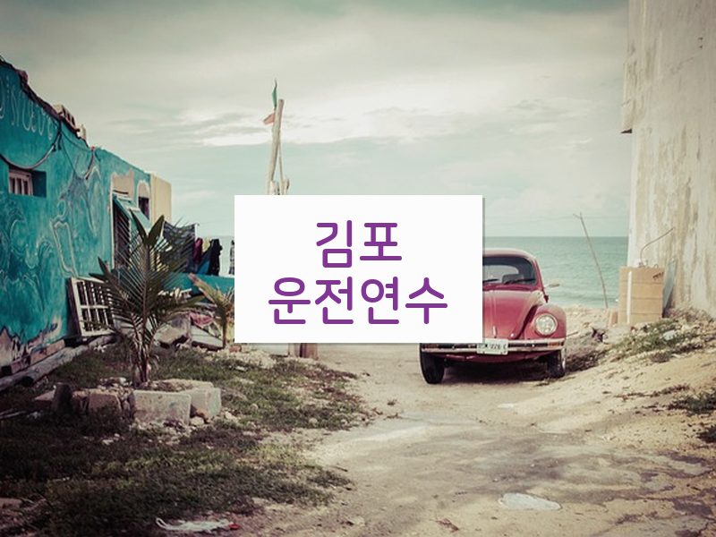 김포운전연수 후기