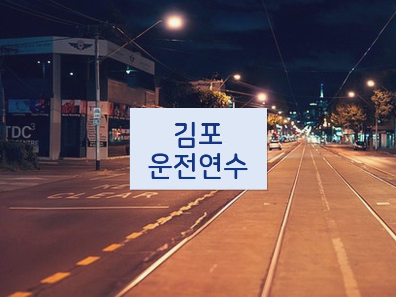 김포운전연수 후기