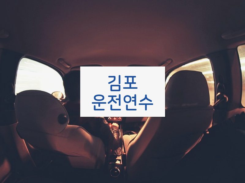 김포운전연수 후기