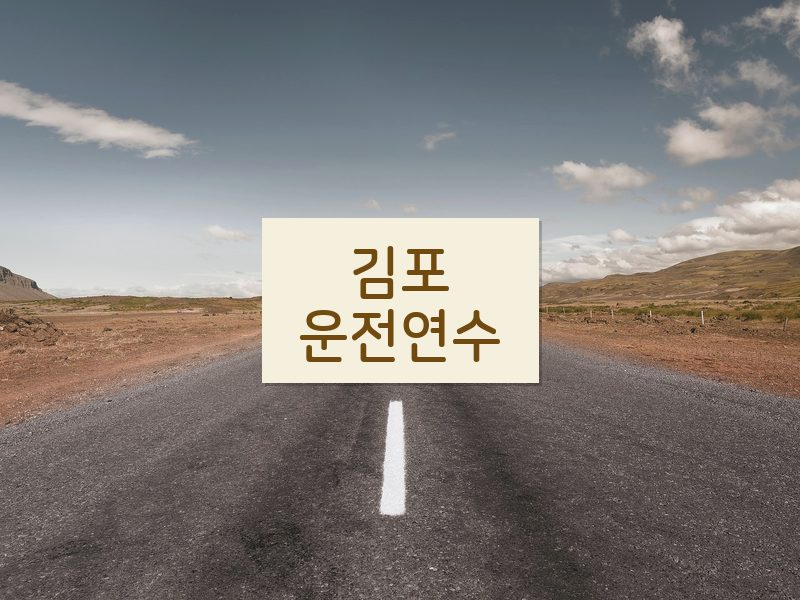 김포운전연수 후기