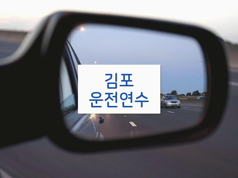 김포운전연수 후기